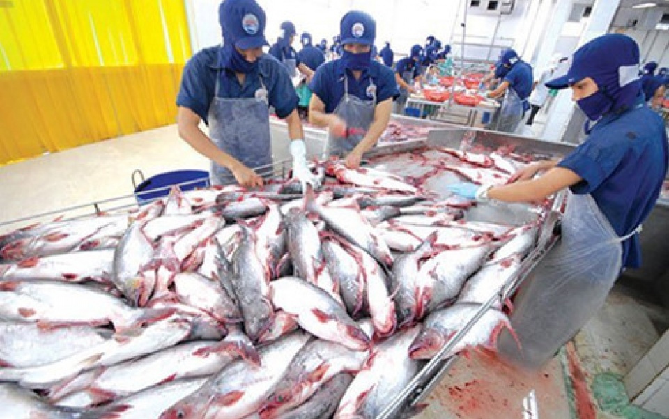 Pangasius exports to EU market set to reach over US$200 million in 2022